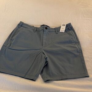 Hollister Light Blue Flat Front Shorts
